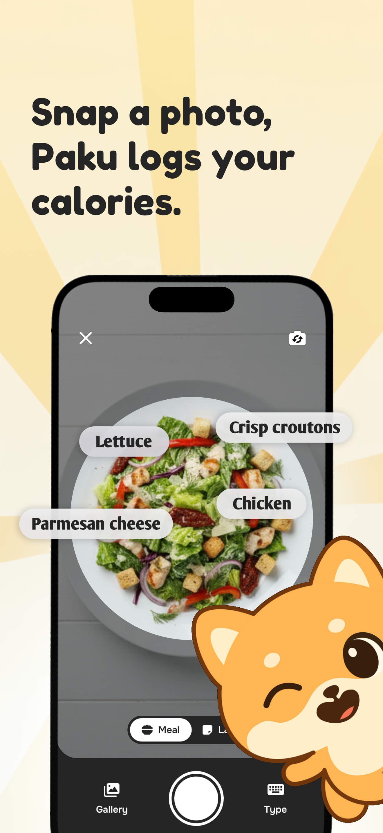 Paku App Screenshot 2